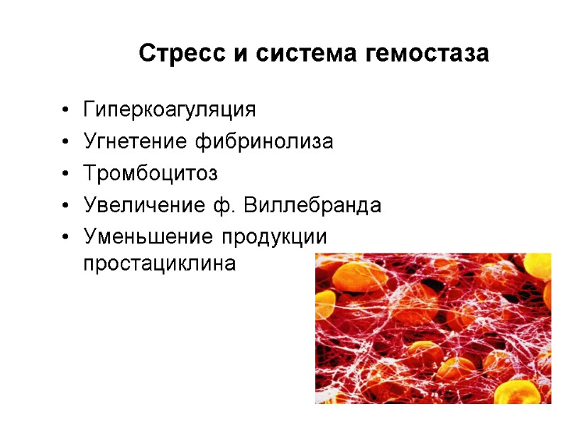 Стресс и система гемостаза Гиперкоагуляция Угнетение фибринолиза Тромбоцитоз Увеличение ф. Виллебранда Уменьшение продукции простациклина